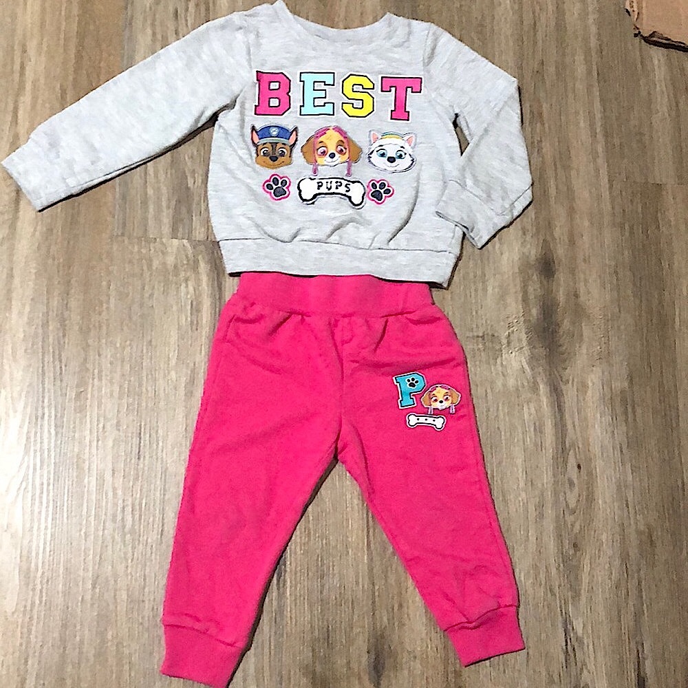 Girls Paw Patrol set